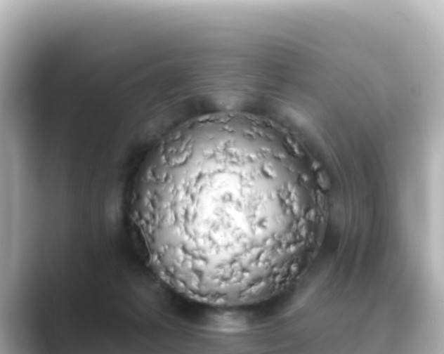 X0000089420221200706221159