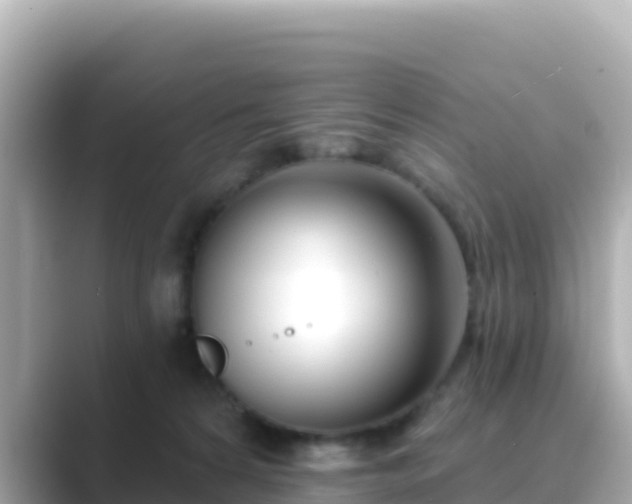 X0000089420224200706221159