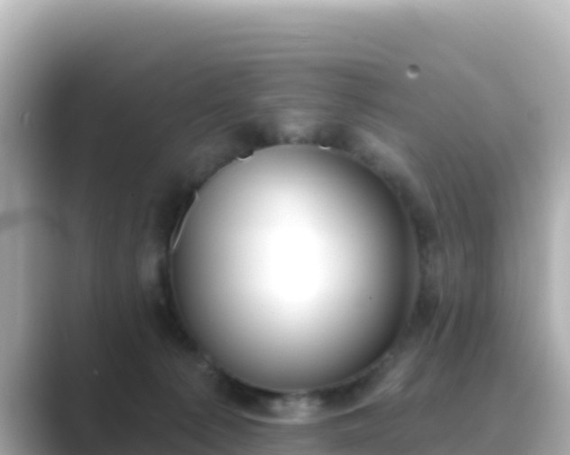 X0000089420225200706221159