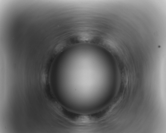 X0000089420227200706221159