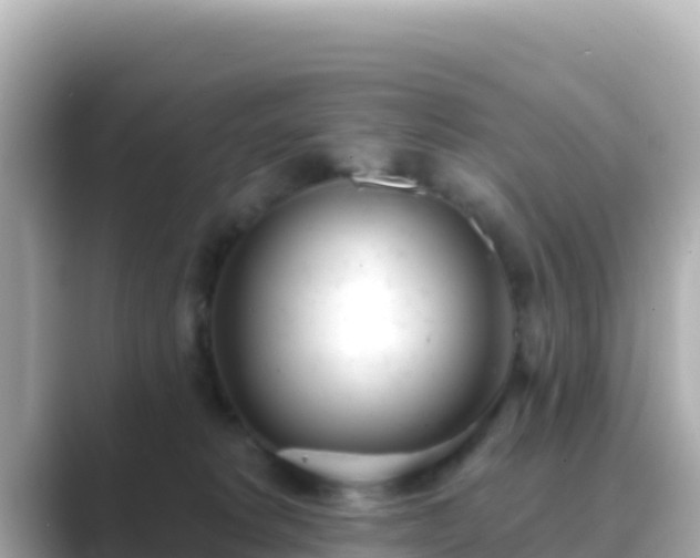 X0000089420229200706221159