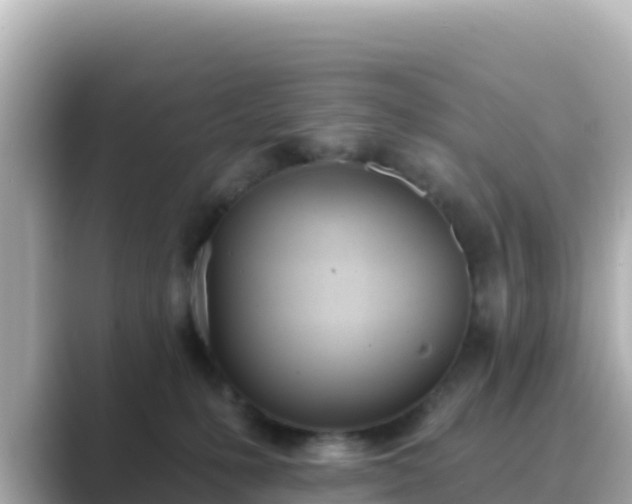 X0000089420231200706221159