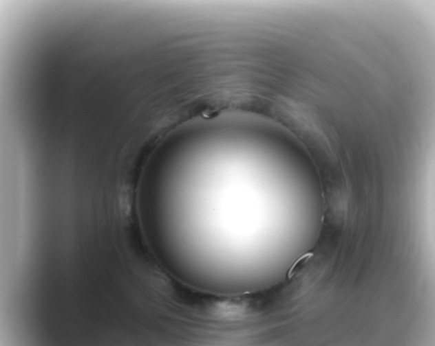 X0000089420232200706221159