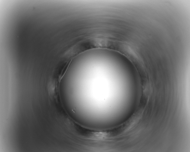 X0000089420233200706221159