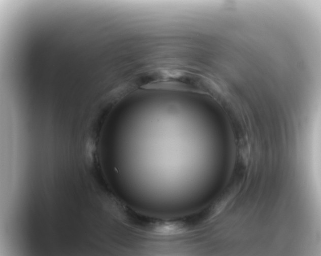 X0000089420235200706221159