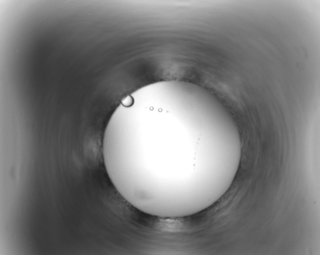 X0000089420240200706221159