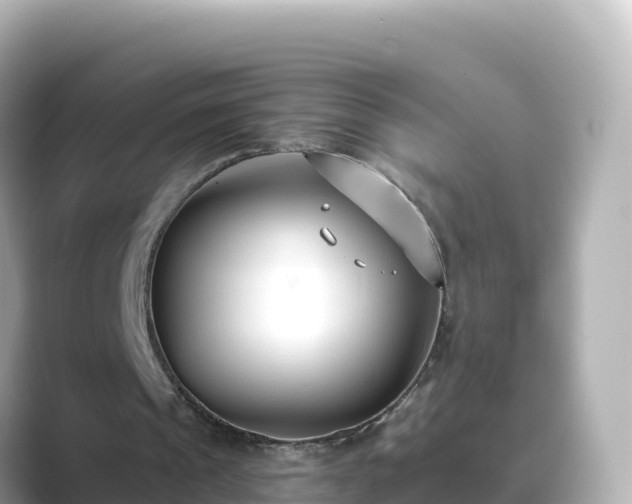 X0000089420241200706221158