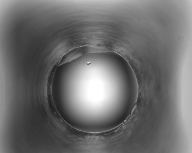 X0000089420242200706221158