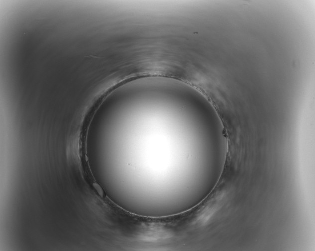 X0000089420244200706221158