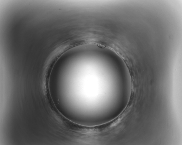 X0000089420245200706221158