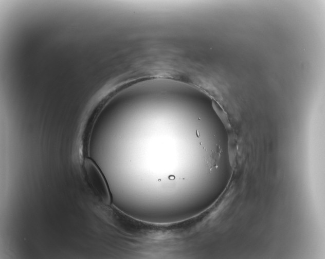 X0000089420246200706221158