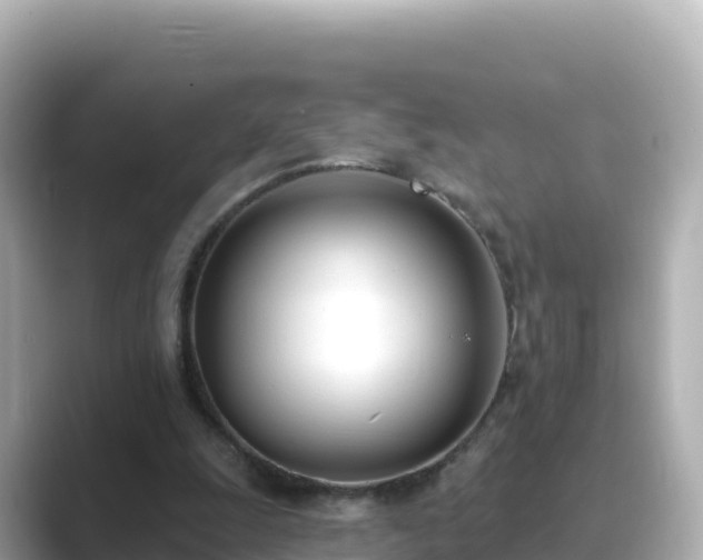 X0000089420247200706221158