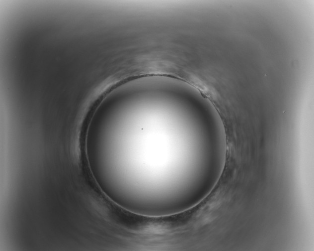 X0000089420248200706221158