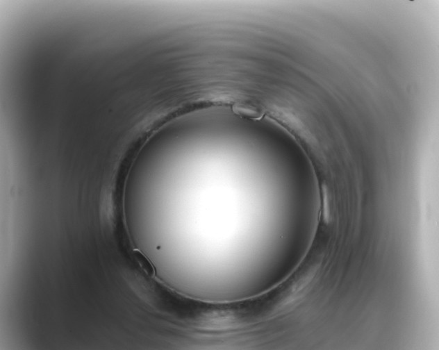 X0000089420252200706221158