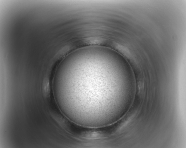 X0000089420254200706221158