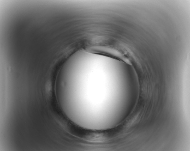 X0000089420260200706221158