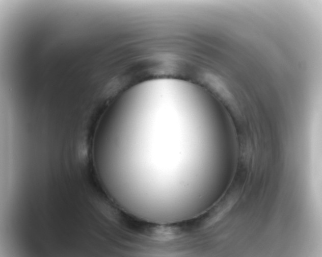 X0000089420261200706221158