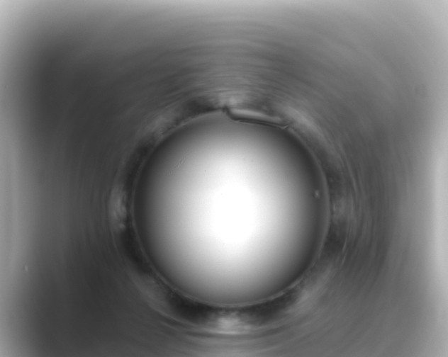 X0000089420264200706221158