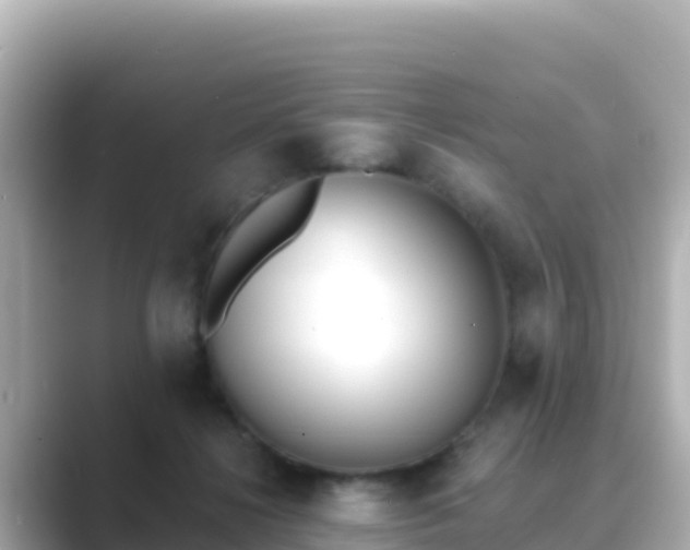 X0000089420268200706221158