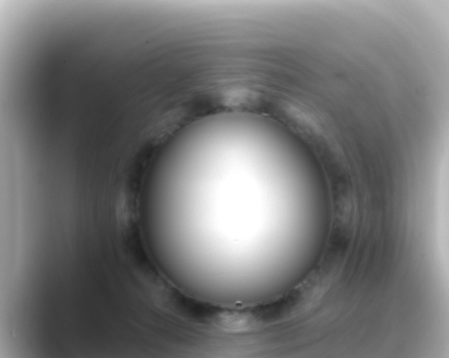 X0000089420272200706221159