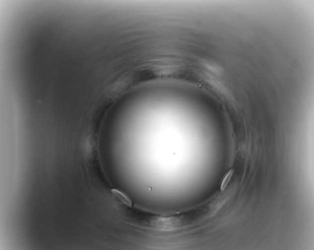 X0000089420277200706221159