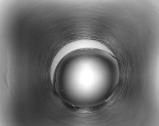 X0000089420280200706221159