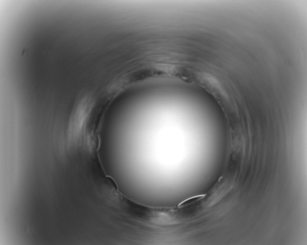 X0000089420285200706221159