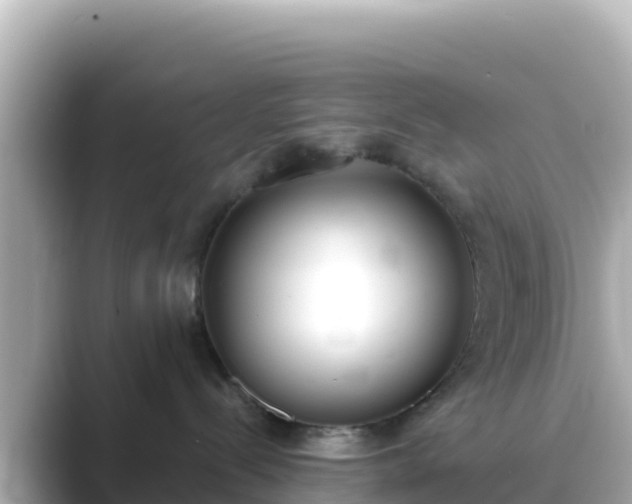 X0000089420288200706221159