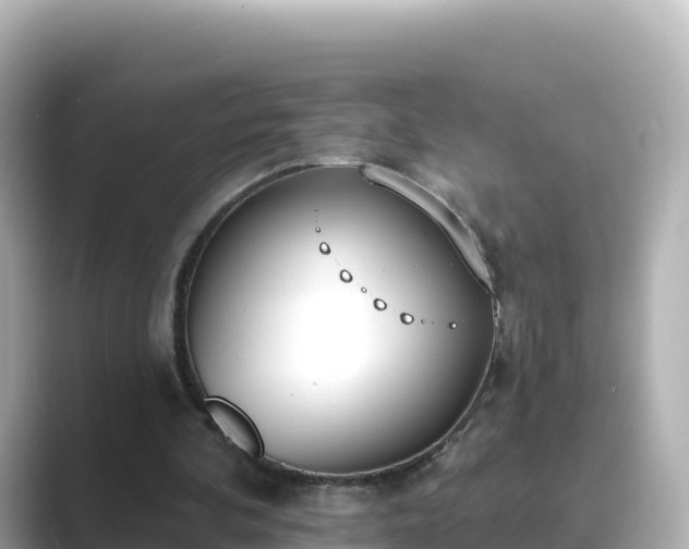 X0000089420292200706221158