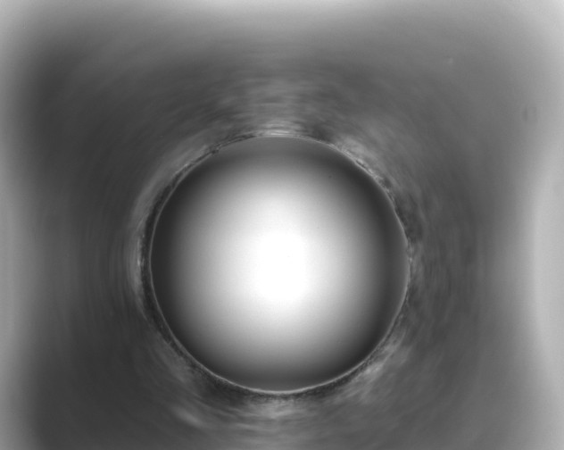 X0000089420293200706221158