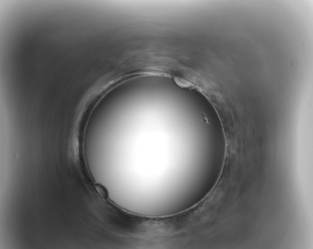 X0000089420294200706221158