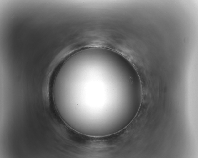 X0000089420296200706221158