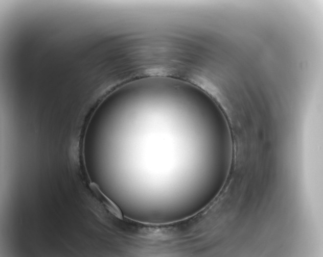 X0000089420297200706221158