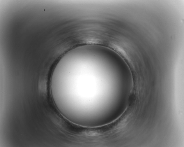 X0000089420299200706221158