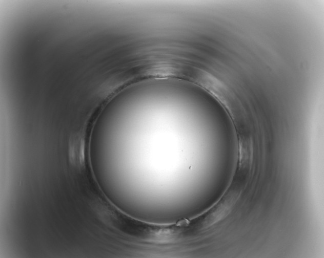 X0000089420301200706221158