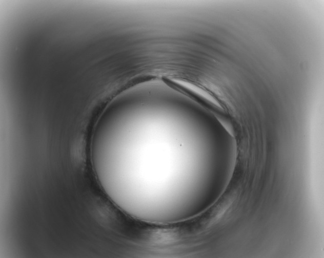 X0000089420303200706221158