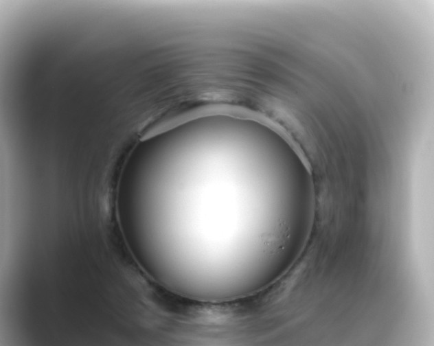 X0000089420305200706221158