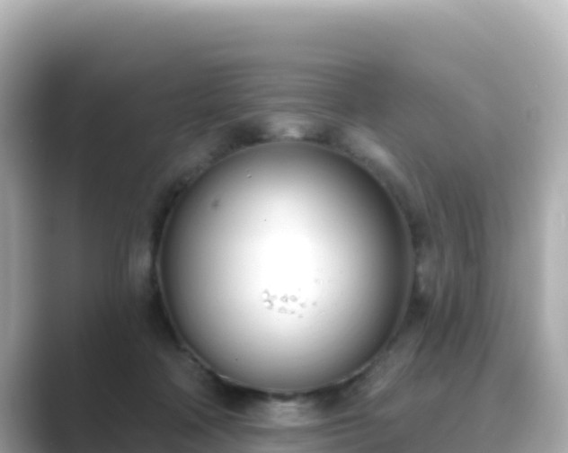 X0000089420314200706221158