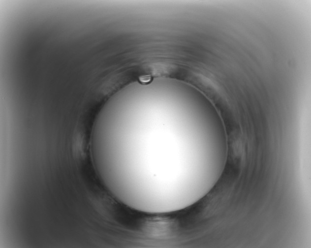 X0000089420316200706221158