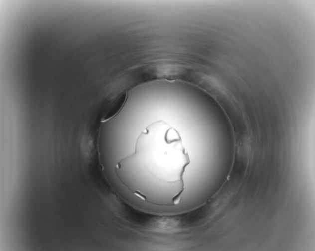 X0000089420327200706221158