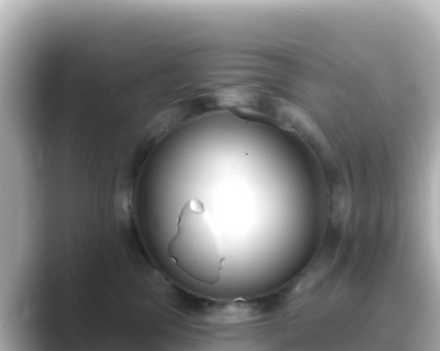 X0000089420329200706221158