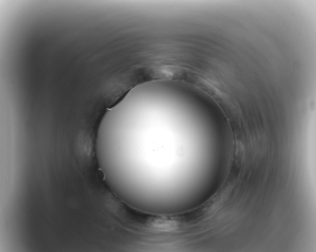 X0000089420331200706221158