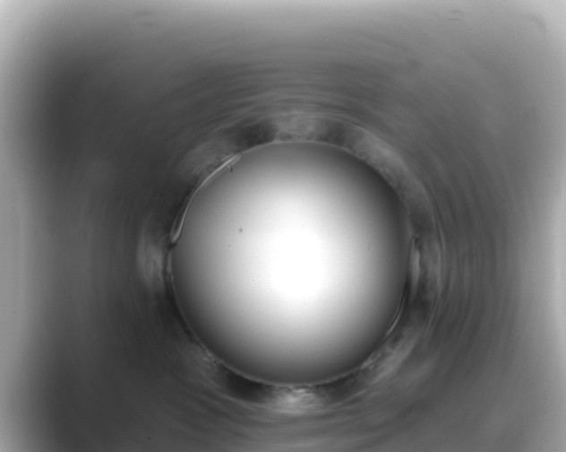 X0000089420333200706221158