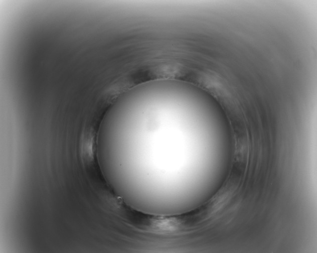 X0000089420334200706221158