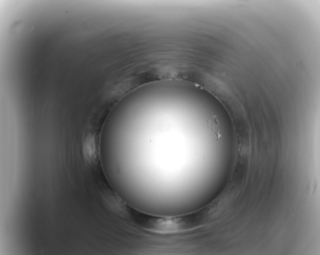 X0000089420335200706221158