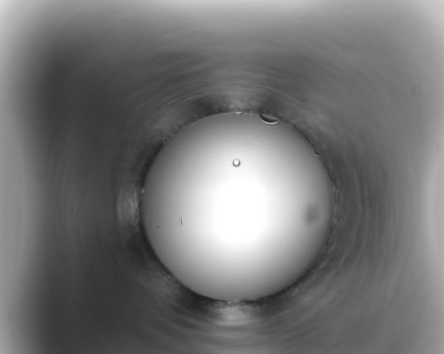 X0000089420336200706221158