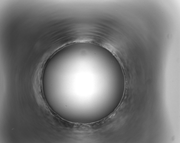 X0000089420337200706221157