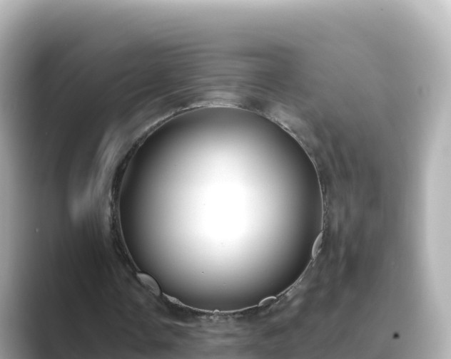 X0000089420338200706221157