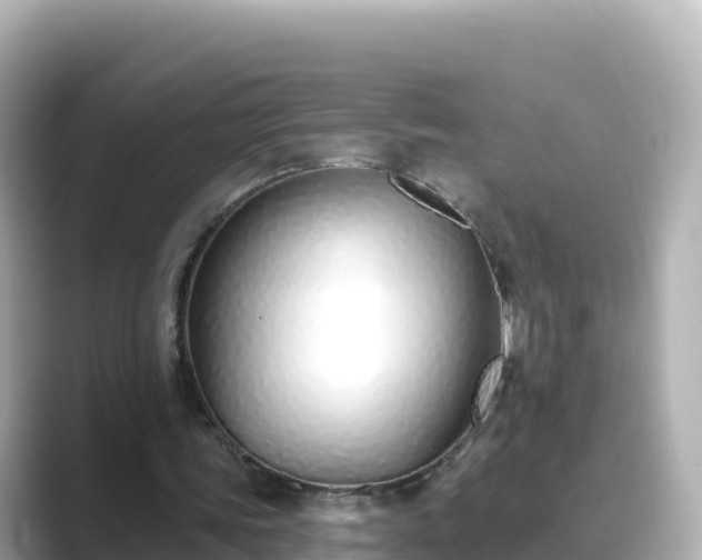 X0000089420339200706221157