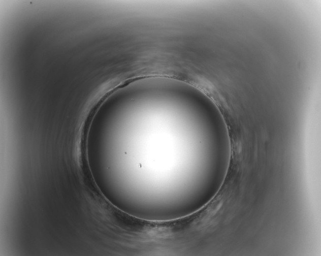 X0000089420340200706221157